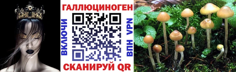 Купить где  Орёл  Галлюциногенные грибы GOLDEN TEACHER 